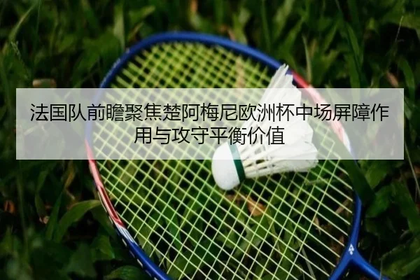 法国队前瞻聚焦楚阿梅尼欧洲杯中场屏障作用与攻守平衡价值