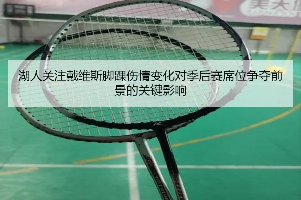 湖人关注戴维斯脚踝伤情变化对季后赛席位争夺前景的关键影响